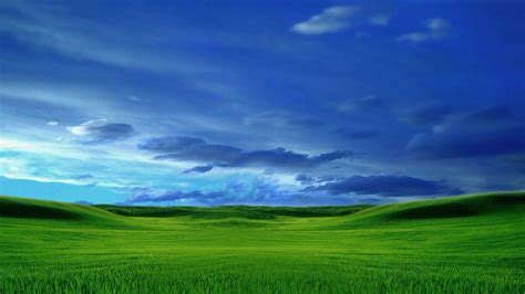 microsoft free desktop backgrounds|download microsoft backgrounds for desktop.